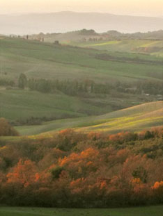 Tuscan countryside Tuscan countryside