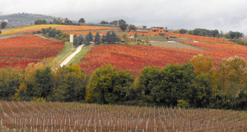 A Taste of Umbria Tour by Ergo: Travel A Taste of Umbria Tour by Ergo: Travel