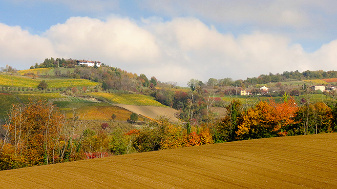A generous buffet of rustic dishes in a real farm Langhe