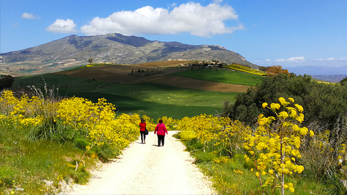 Walking among wild fennel in the Sciilian countryside in spring.