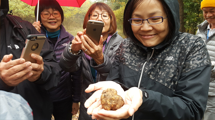 Claudine finds a truffle