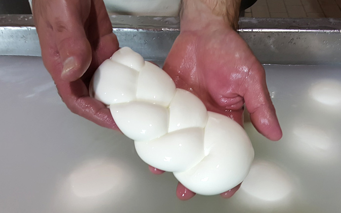 Making mozzarella