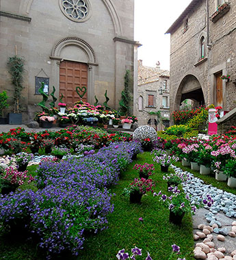 Enjoy local festivals even other Italians don't know about! Viterbo - San Pellegrino in Fiore